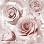 Tapeta Róże Kwiaty Różowa z brokatem 315846