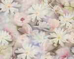 Tapeta PINTWALLS białe kwitnące kwiaty 38722-1