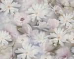 Tapeta PINTWALLS białe kwitnące kwiaty 38722-3