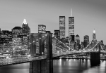 Fototapeta na flizelinie 00957 Manhattan Skyline at Night