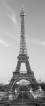 Fototapeta 530 La Tour Eiffel Paris