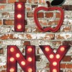 JET SETTER Tapeta dla dzieci i młodzieży 102536 ściana z cegły czerwonej mur napis kocham nowy york