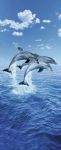Fototapeta  Steve Bloom   Three Dolphins   00599   86 x 200cm